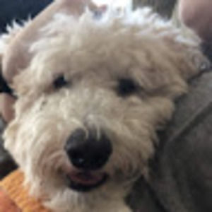 Meet your Posher, Caroline